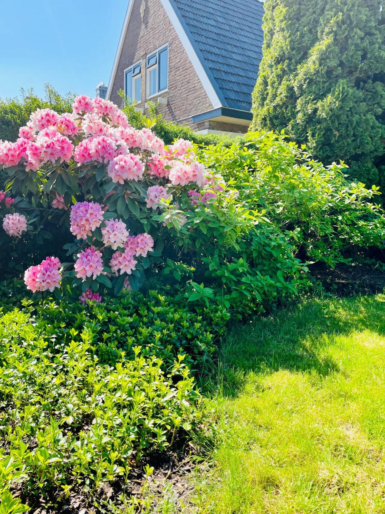 Herberg Het Rechthuis Rinsumageest Esterno foto